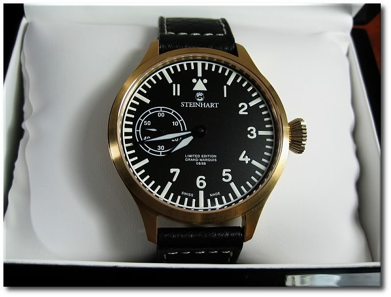 Steinhart_GM_Dial_Lumi_OFF.jpg