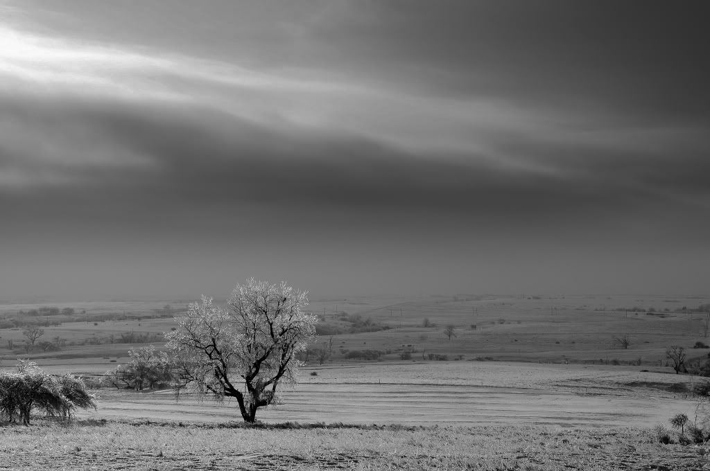 WinterLandscape2.jpg