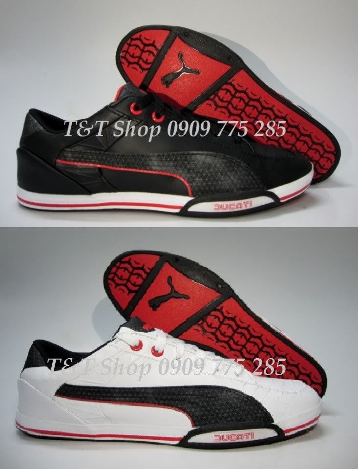 T&T Shop-Chuyên quần áo, giày dép thể thao chính hãng: Lacoste, Nike, Puma, Adidas... - 17