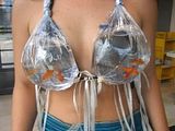 Fish Bra