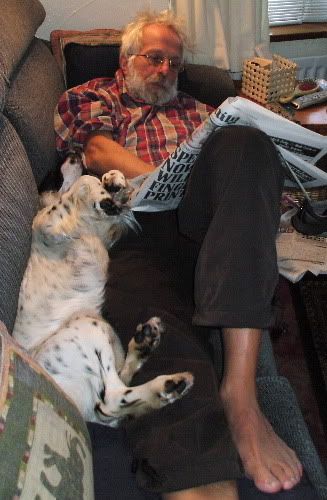 dog1.jpg