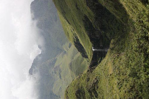 sanipass.jpg