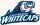 DTF1 ADMINISTRATOR West Michigan Whitecap DTF1 ADMINISTRATOR West Michigan Whitecap