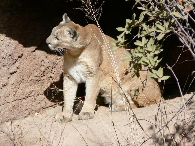 Image hosting by Photobucket