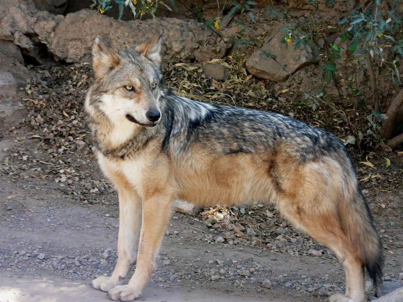 Image hosting by Photobucket