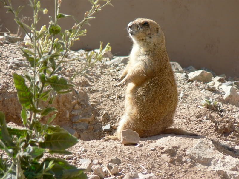 Image hosting by Photobucket