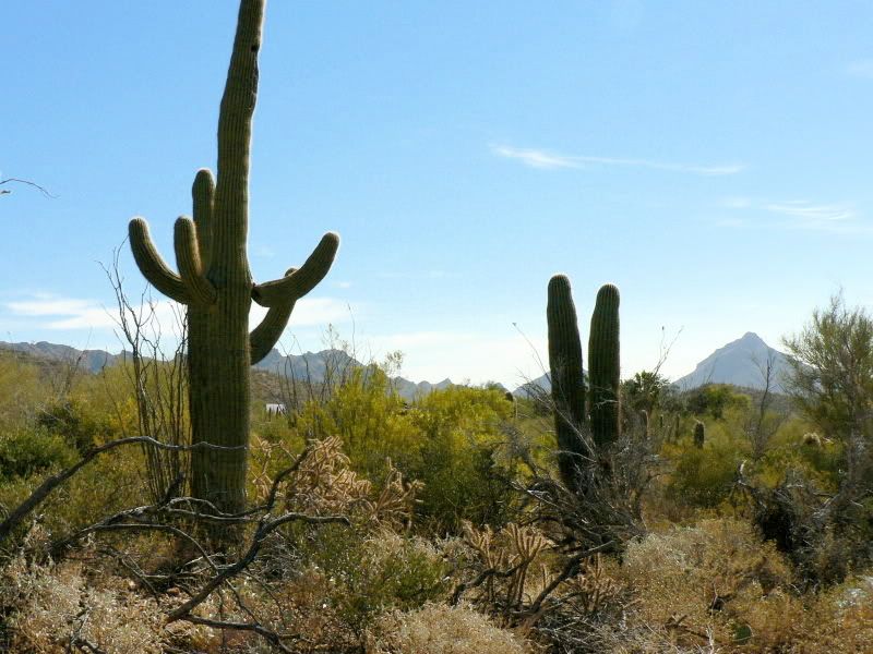 Image hosting by Photobucket