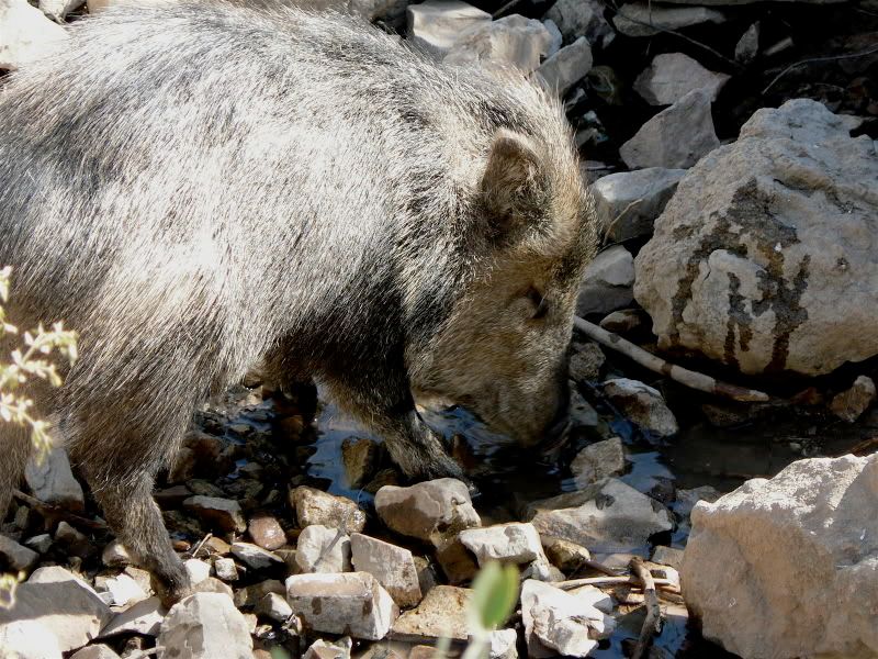 Image hosting by Photobucket