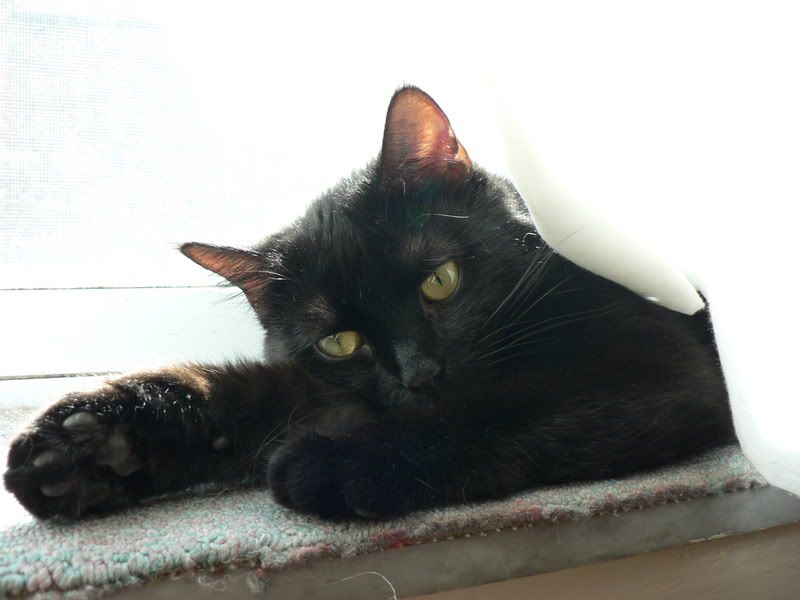 Photobucket - Video and Image Hosting