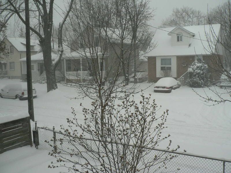 Photobucket - Video and Image Hosting