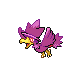 murkrow-1.png