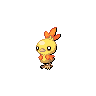 torchic-1.png