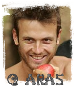 aras.png