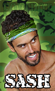 sash.png
