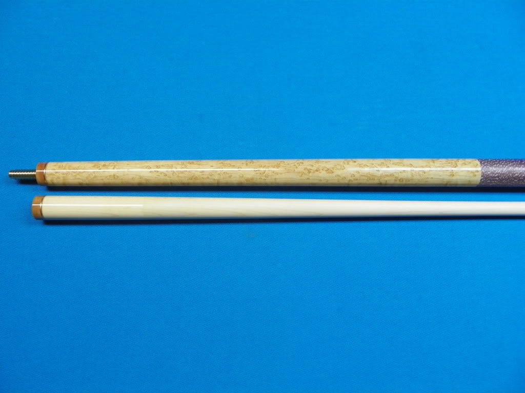 BEM4.jpg