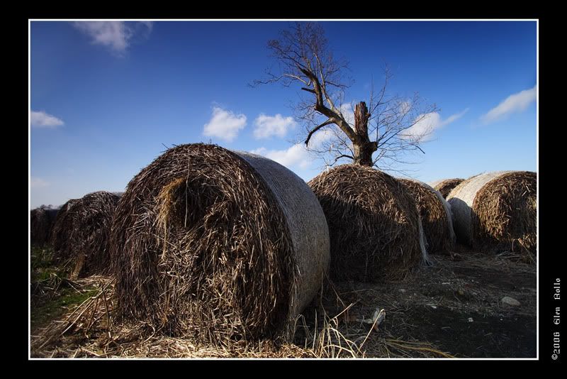 IMAGE: http://i37.photobucket.com/albums/e56/GCR22/Photography/Posting/12-30-06_007-Md.jpg