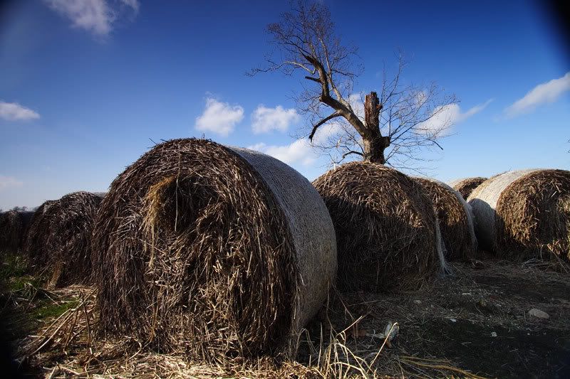 IMAGE: http://i37.photobucket.com/albums/e56/GCR22/Photography/Posting/12-30-06_007_NoPP.jpg