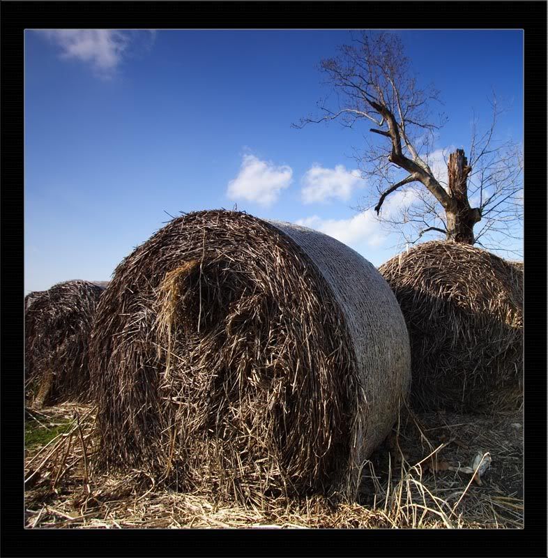 IMAGE: http://i37.photobucket.com/albums/e56/GCR22/Photography/Posting/12-30-06_008_Color_Md.jpg