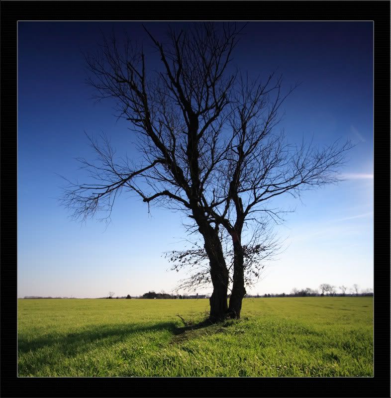 IMAGE: http://i37.photobucket.com/albums/e56/GCR22/Photography/Posting/12-30-06_021_Color_Md.jpg