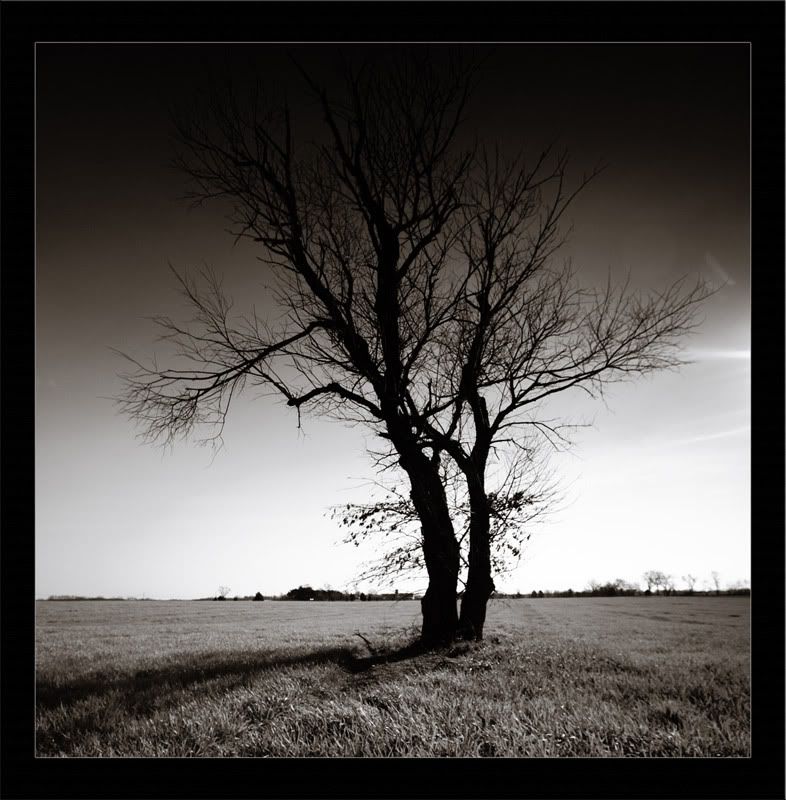 IMAGE: http://i37.photobucket.com/albums/e56/GCR22/Photography/Posting/12-30-06_021_Md.jpg