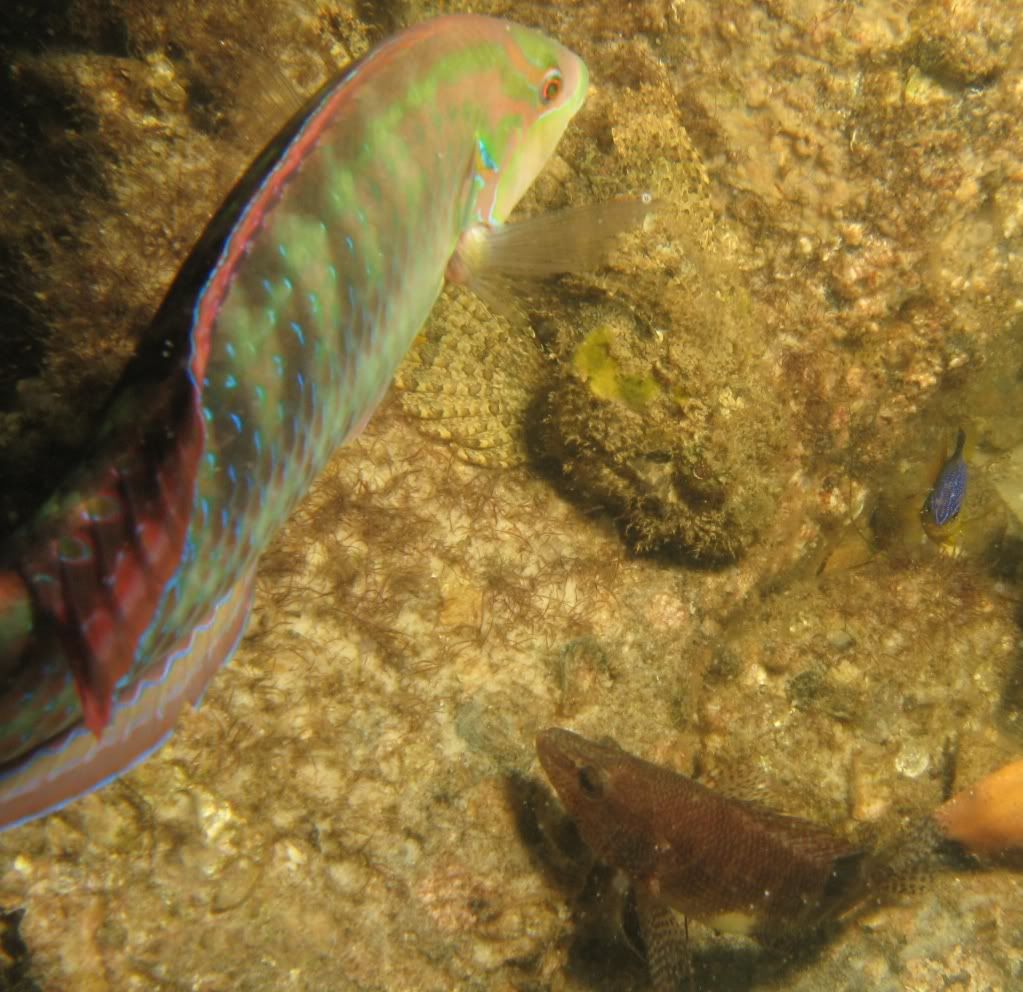 IMG_3112.jpg