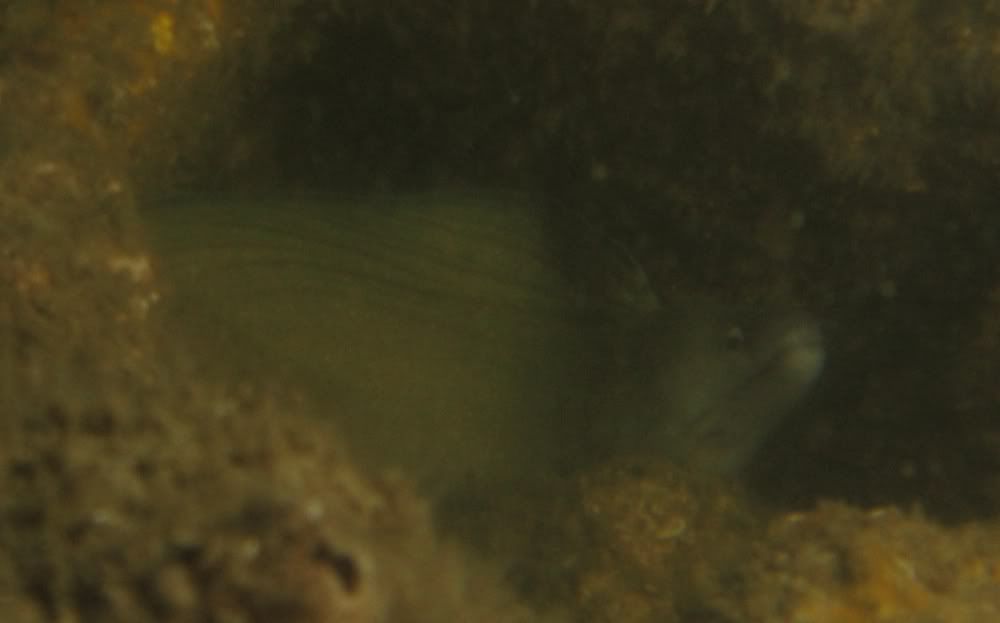 IMG_3614.jpg