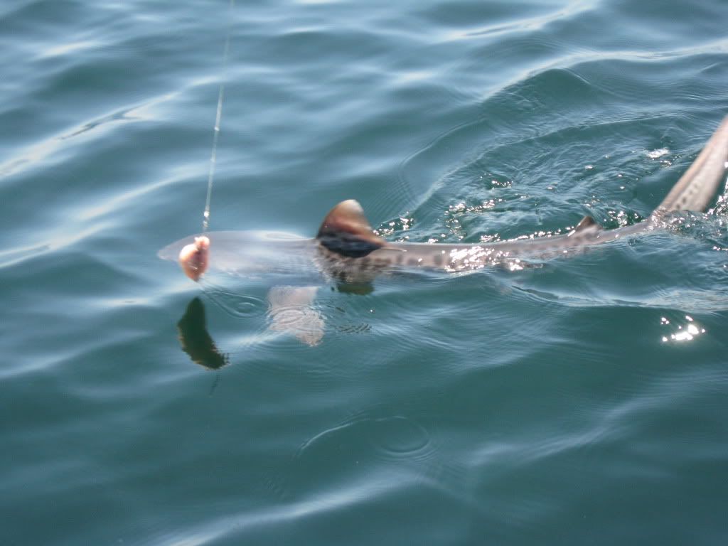 IMG_2495.jpg