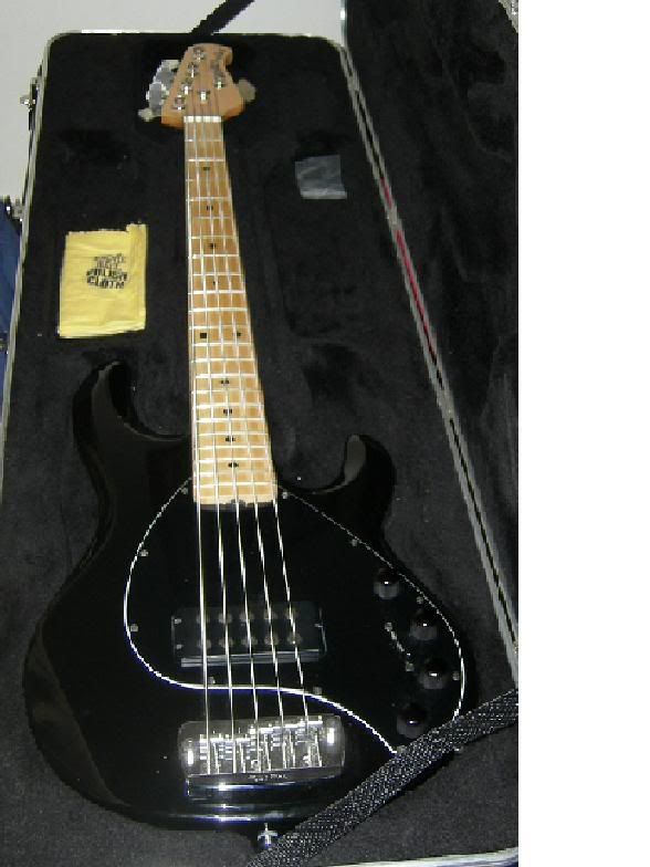stingray5.jpg