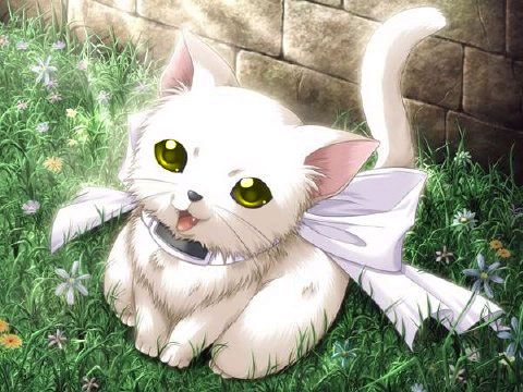 A cute anime kitty Pictures, Images and Photos