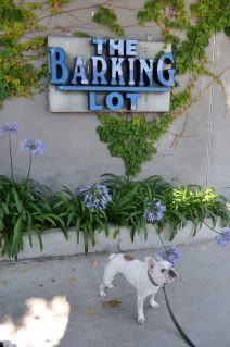 The Barking lot