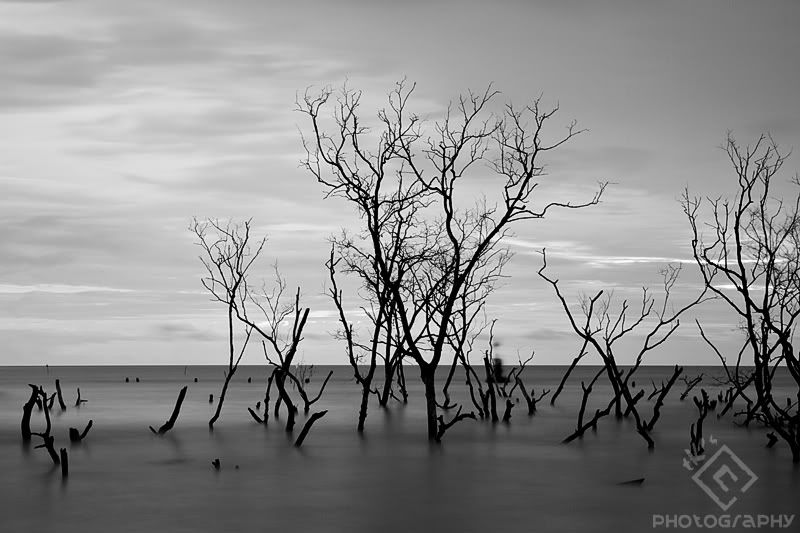 IMAGE: http://i37.photobucket.com/albums/e58/neoroxx/Photography/IMG_3383s-1.jpg