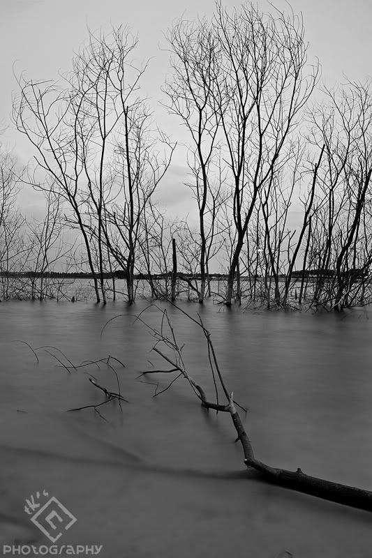 IMAGE: http://i37.photobucket.com/albums/e58/neoroxx/Photography/IMG_3457s.jpg