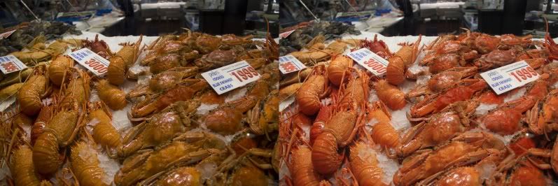 IMAGE: http://i37.photobucket.com/albums/e58/neoroxx/photoshop_DPP.jpg