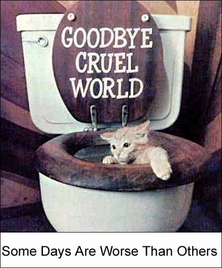 vaarwelellendigewereldkat.jpg