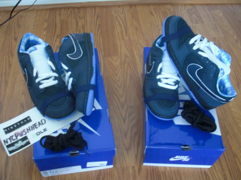 nike sb blue lobster for sale