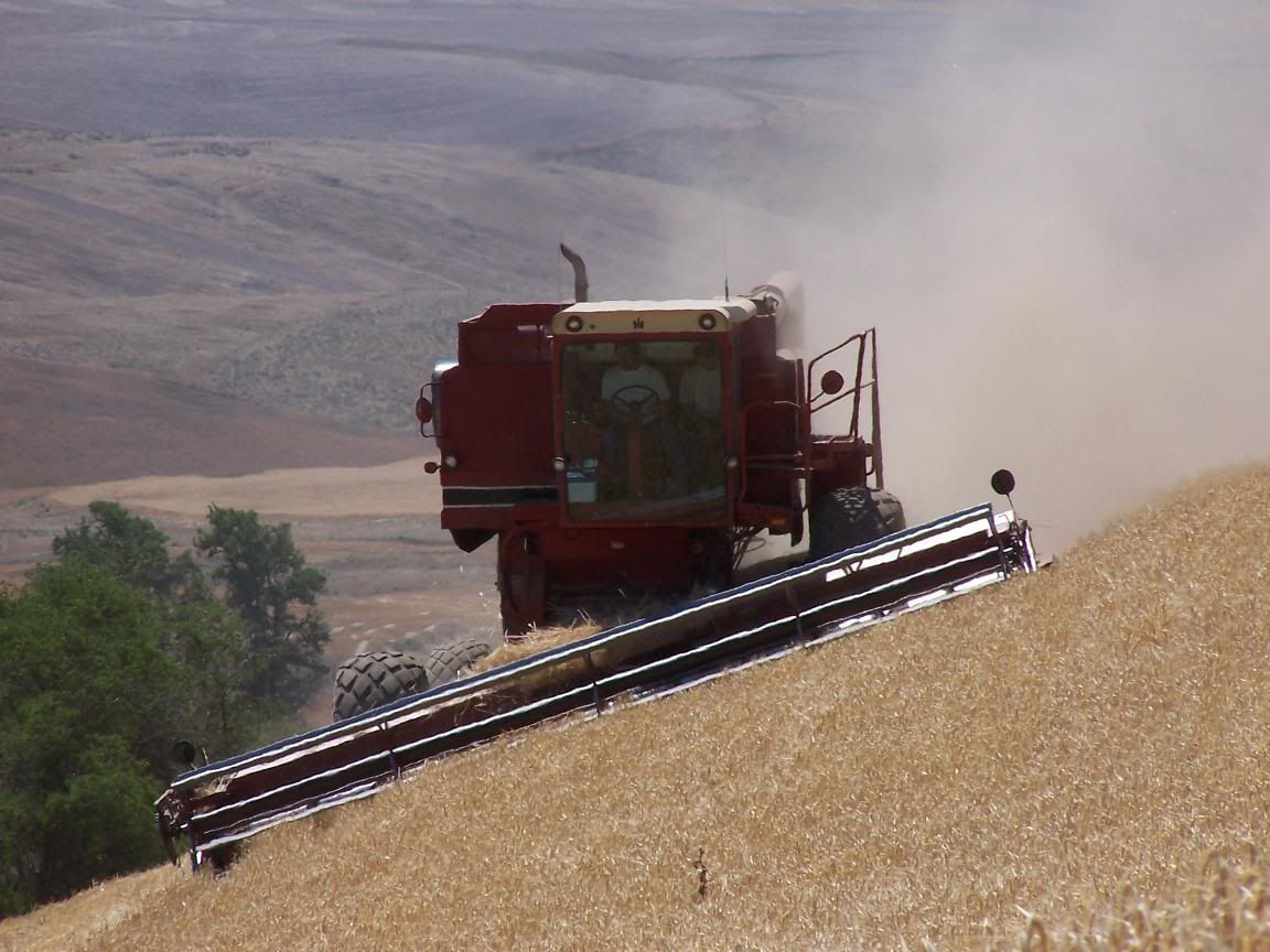Hillside Combines Page 18 The Combine Forum