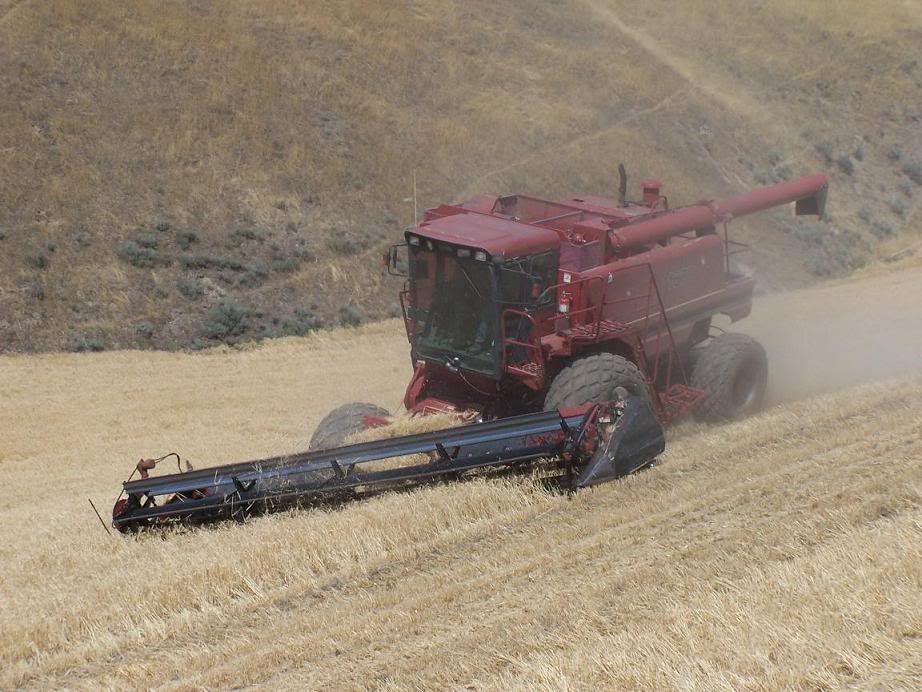 Hillside Combines Page 3 The Combine Forum