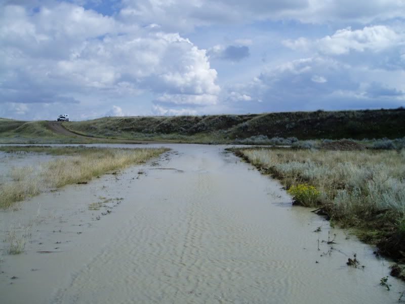 P1010018-6.jpg