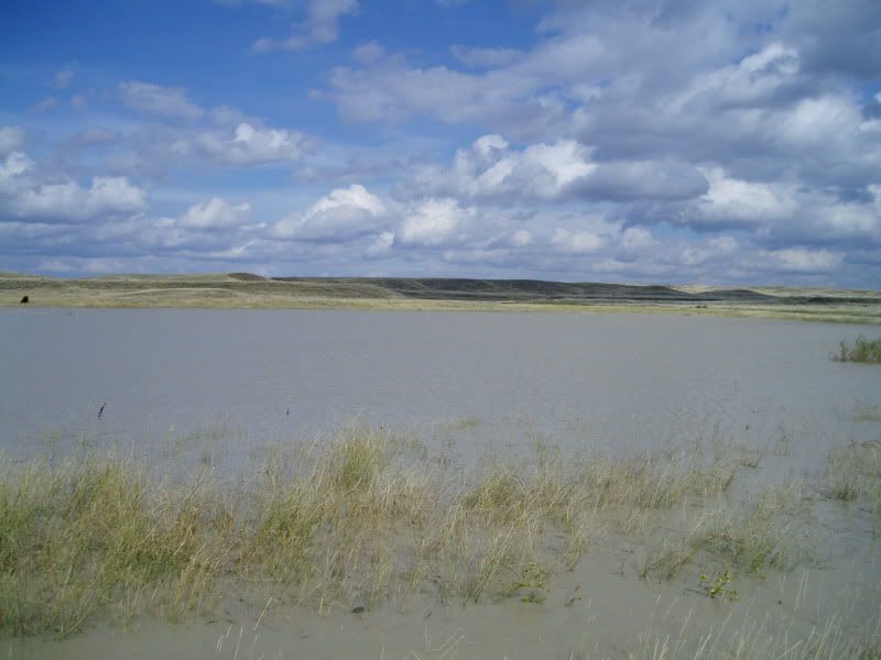 P1010019-4.jpg