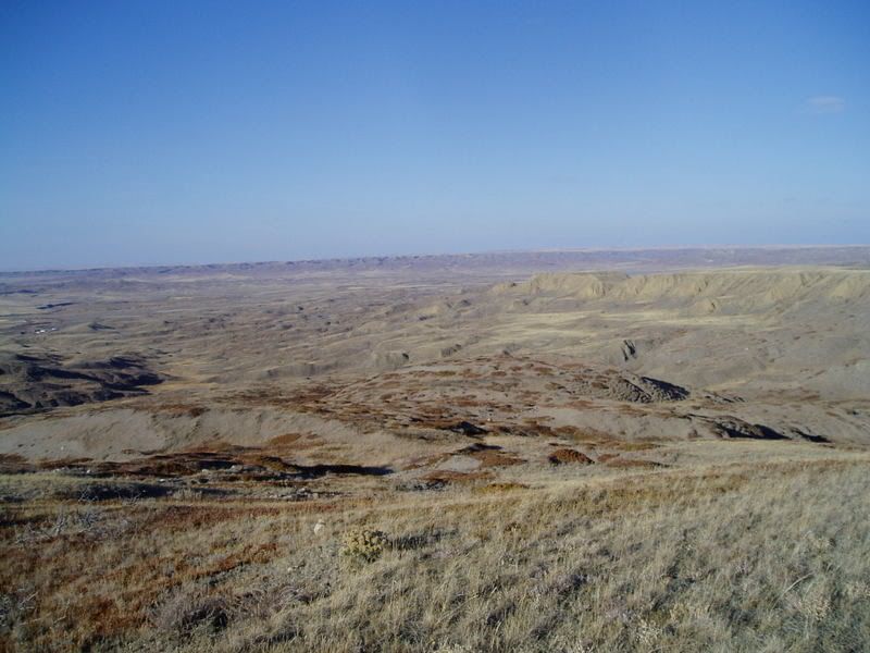P1010226.jpg