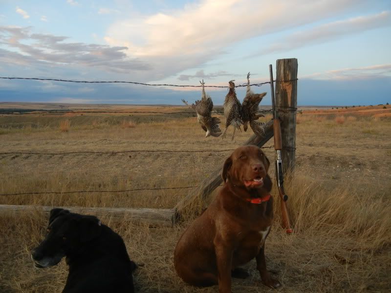 Sept102012039.jpg
