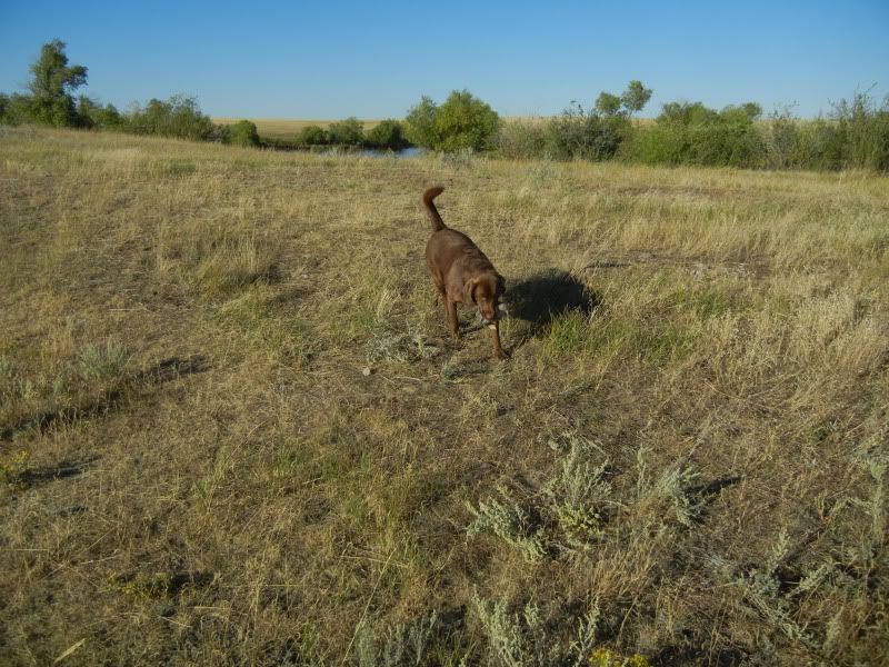 Sept102012080.jpg