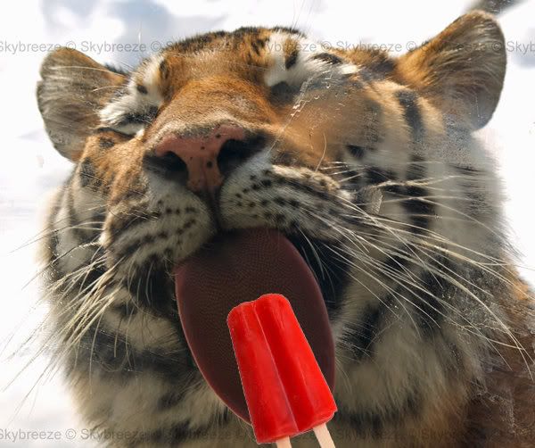 Popsicle Pictures, Images and Photos