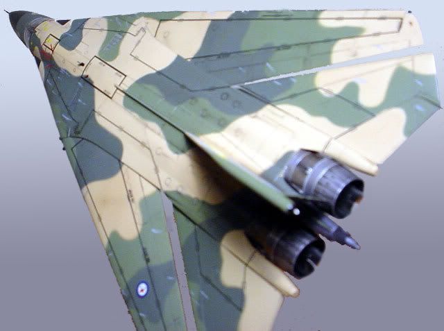 f111cap_019.jpg