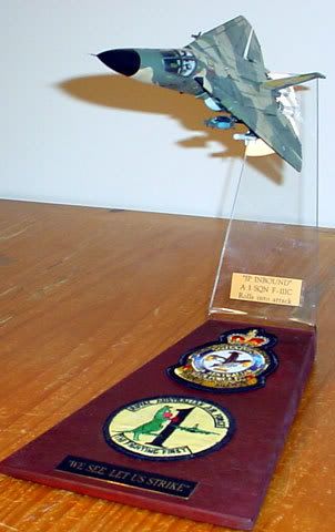 f111cap_023.jpg