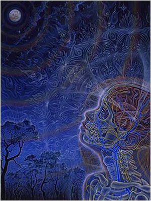 Alex Grey Moon