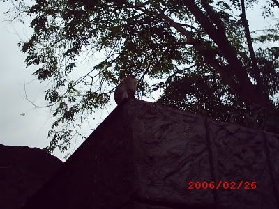 Image hosting by Photobucket