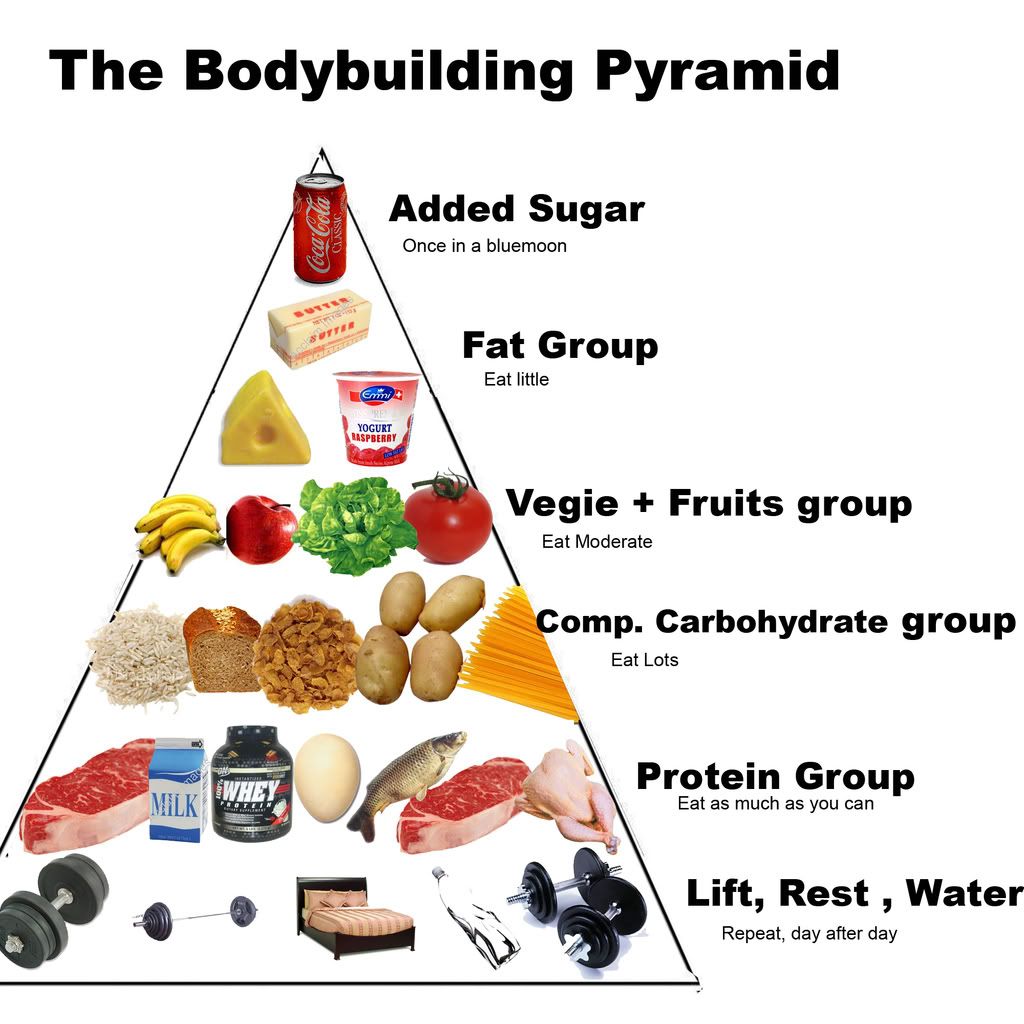 Bodybuilding food pyramid Forums