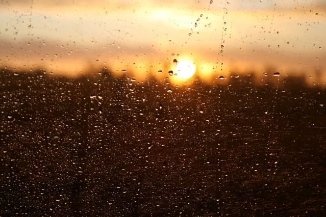 IMAGE: http://i37.photobucket.com/albums/e68/churchie11/IMG_0831.jpg