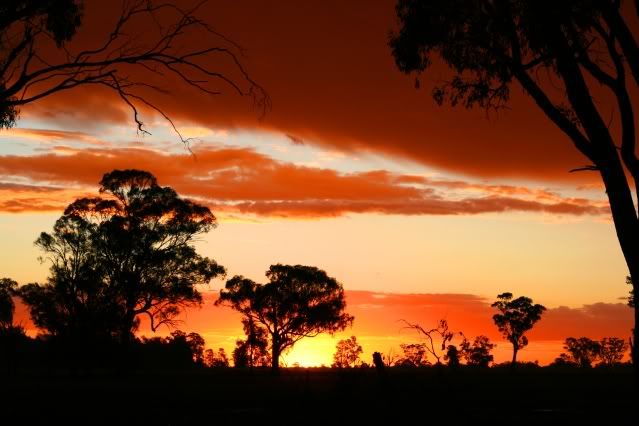 IMAGE: http://i37.photobucket.com/albums/e68/churchie11/IMG_0842.jpg